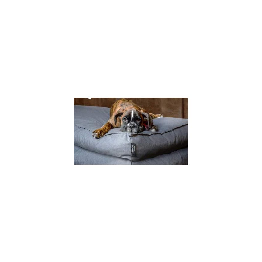Coussin pour chien Panama Gris 80x55 cm