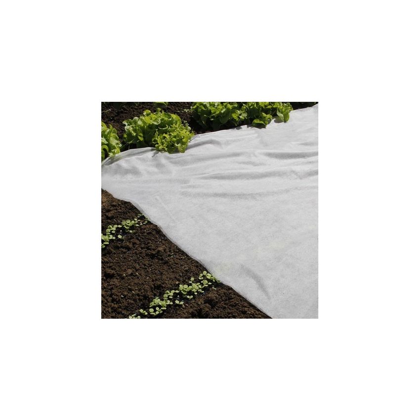 Voile de forçage nature 2 x 5 M