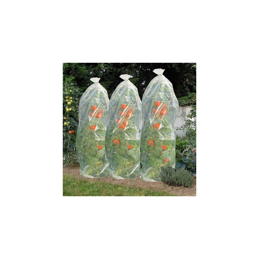 Gaine en film de croissance perforé Nature 50cm x 30 m