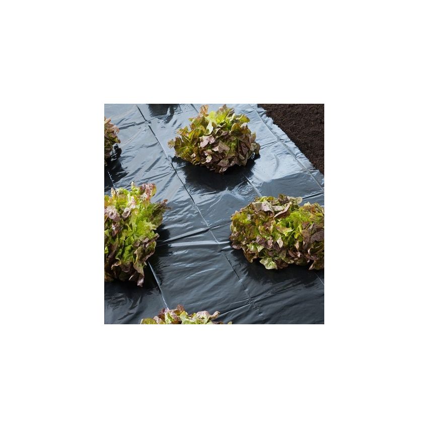 Film de paillage toutes cultures 1,40 x 5 m 