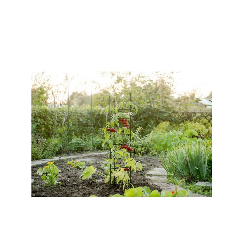 Tuteurs tomates triangulaire 3 x (H150 cm x DIAM11 mm)