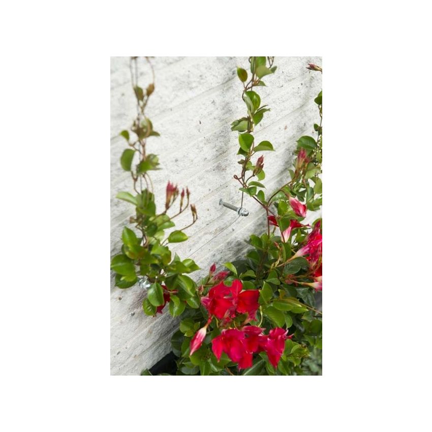 Kit complet pour treillis métallique DIAM 1,8 mm x 10 m