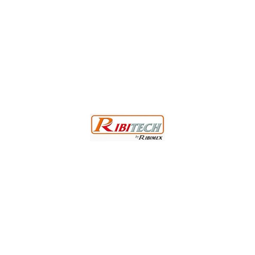 Pompe surpresseur 100L 1450W (multicellulaire et auto-amorçante)