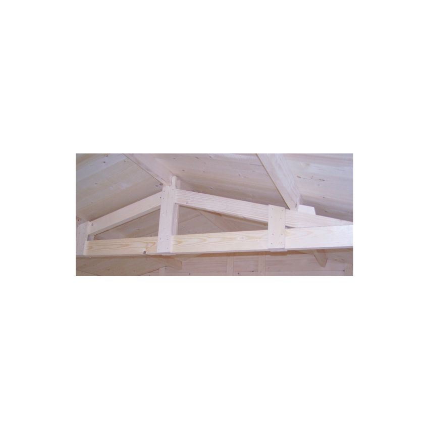 Abri de jardin en Bois 10.33m² NOSTRA 42 mm L 350 x P 350 cm