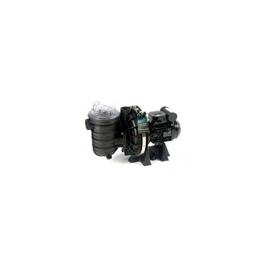 Pompe de filtration STA RITE S5P2R eau salée - 1,5 cv mono