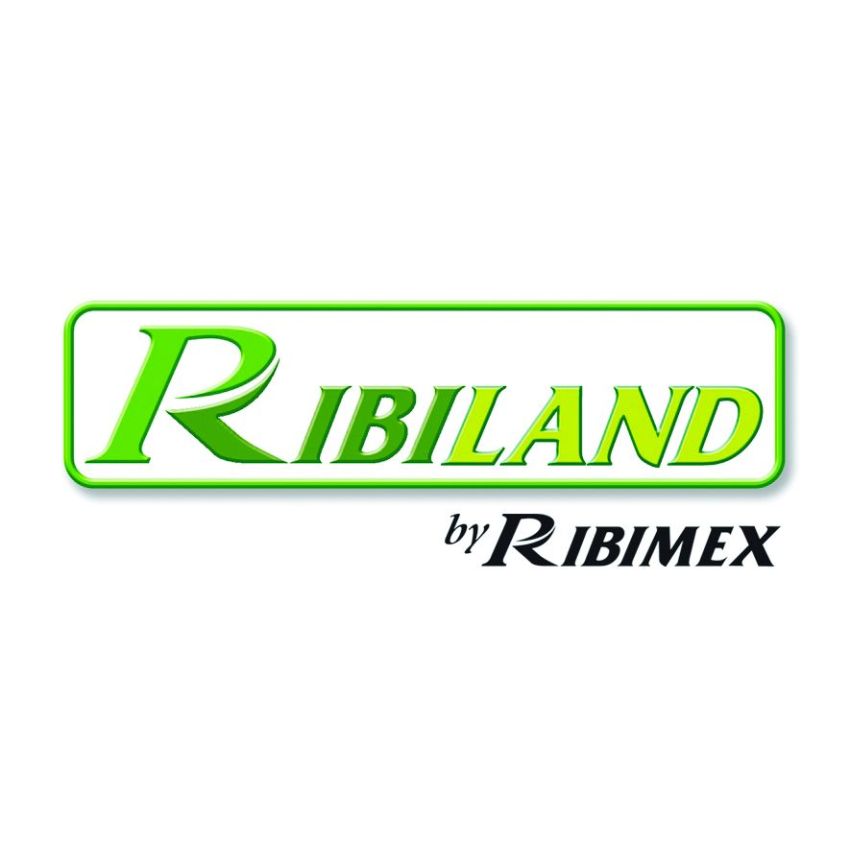 Raccord Plastique Filete Male pour Tuyau diam 40mm