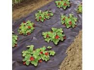 Film de paillage micro-perforé spécial fraises 1,40 x 10 m