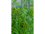 Lot de 10 tuteurs tomates 