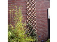 Treillage extensible en bambou 45 x 180 Nature