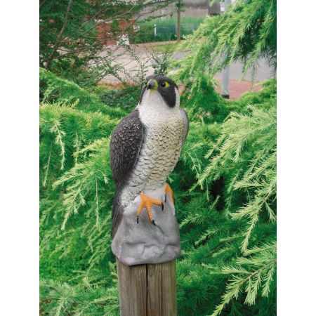 Faucon pour Décoration de Bassin Aquatique - LeKingStore