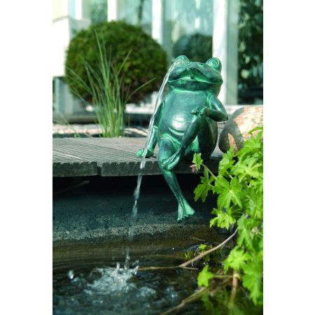 Décoration De Bassin Grenouille