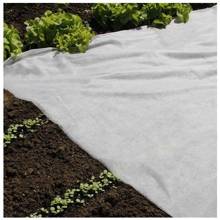 Voile de forçage nature 2 x 10 M