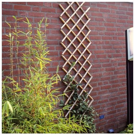 Treillage extensible en bambou 70 x 180 Nature