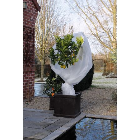 Voile d'Hivernage Blanc 2 x 10 m