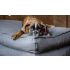 Coussin pour chien Panama Gris 80x55 cm