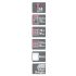 Abri de Jardin Bois ELISTA 34mm 17.47 m2