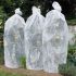 Gaine en voile de croissance Nature 50cm x 30 m 