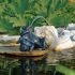 Deux Grenouilles pour Décoration de Bassin de Jardin