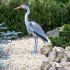 Heron Cendre pour Decoration de Bassin de Jardin