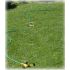 Arroseur Automatique basse pression