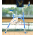 Aquabike Waterflex WR Max