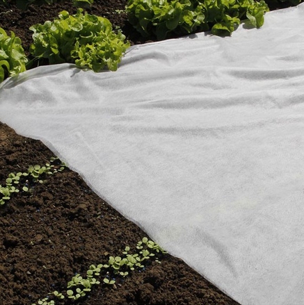 Voile de forçage nature 2 x 10 M